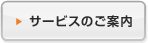 �T�[�r�X�̂��ē�